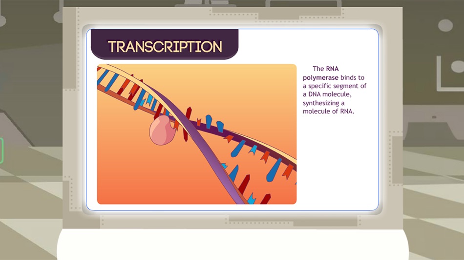 #3. Protein Synthesis - CW (iOS) 由: Science Education Institute