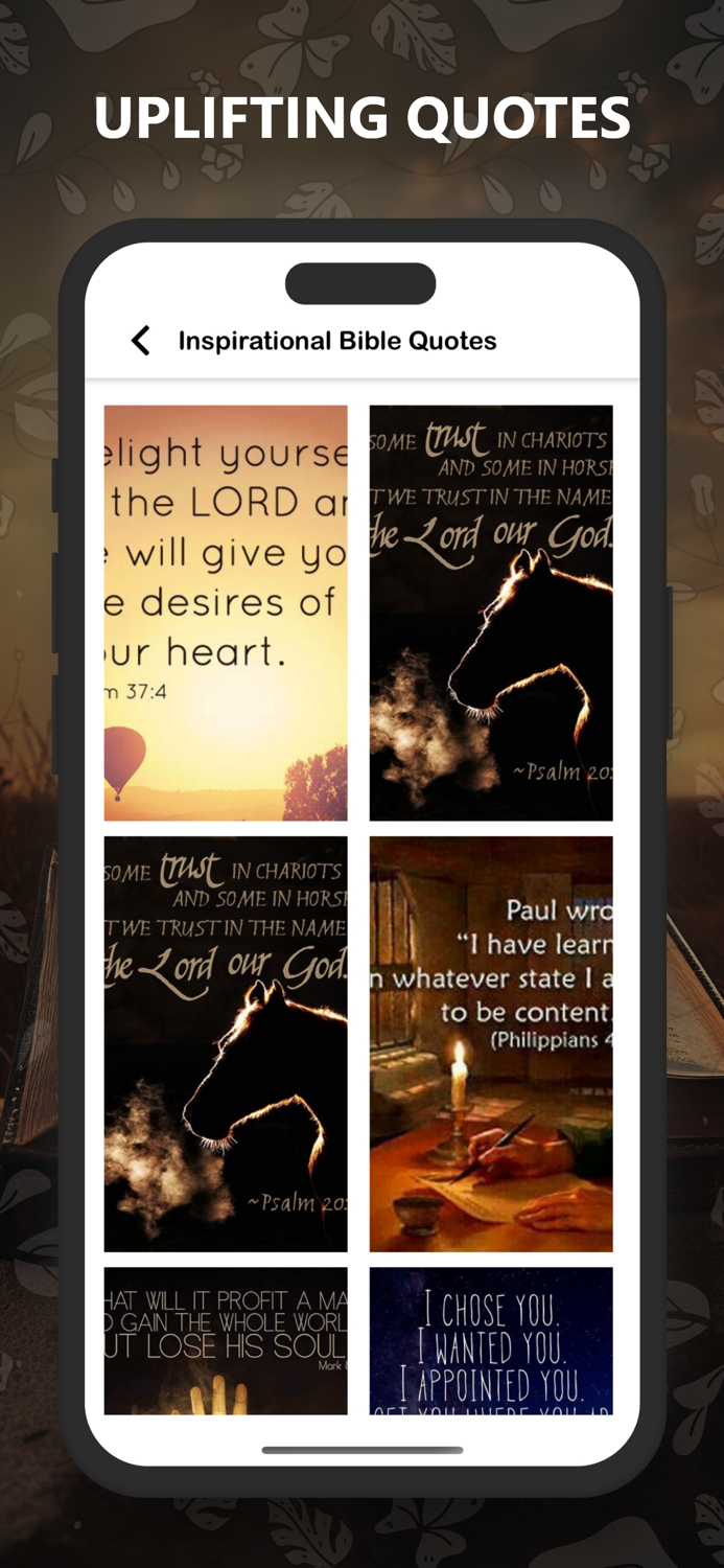 Biblia Ortodoxă - Română Pro