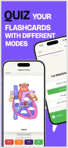 Mina Flashcards screenshot