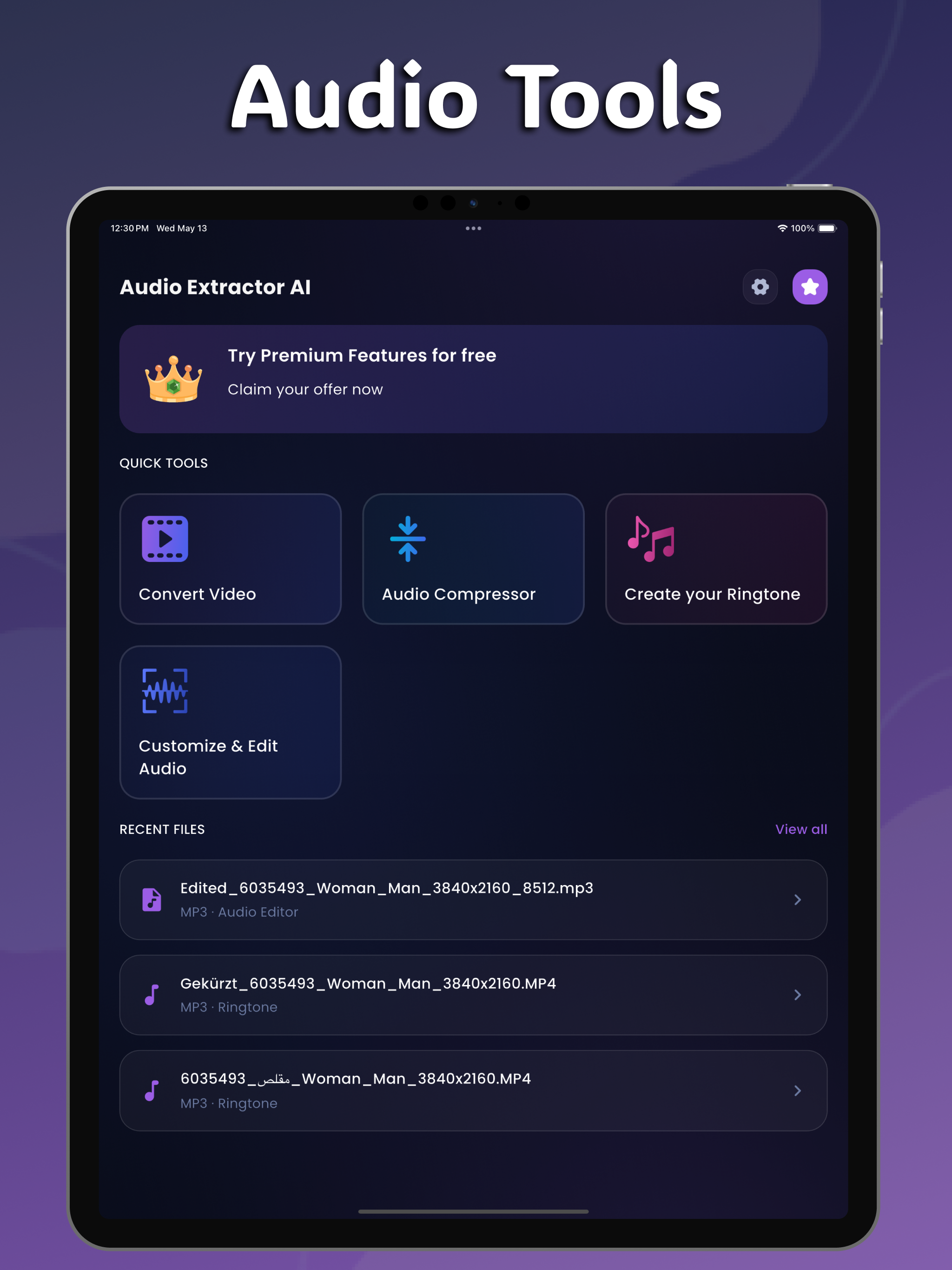 Audio Extractor AI