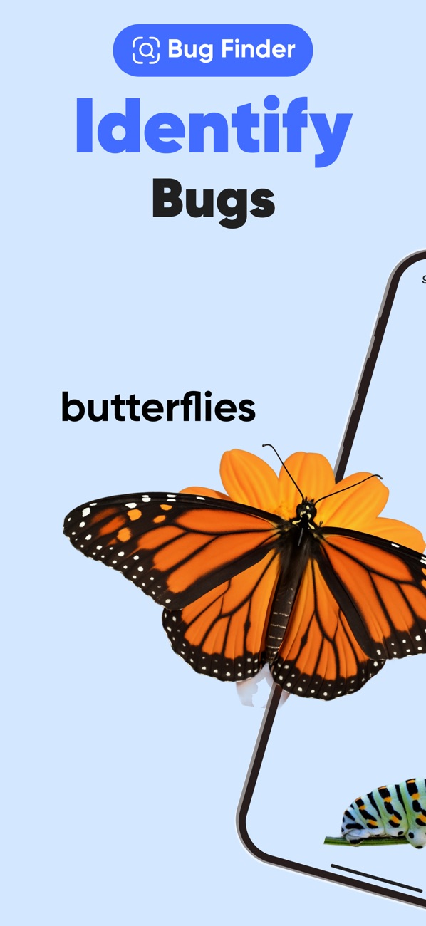 InsectGPT screenshot 6