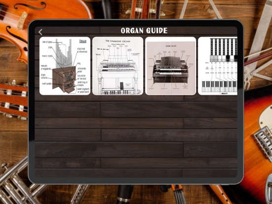 Organ Instrumentのおすすめ画像4