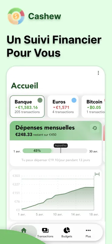 Cashew—Suivi dépenses & budget screenshot 1 of 8