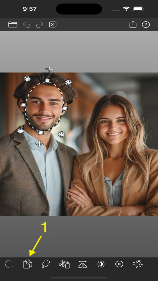 #7. Facecopy: Face Swap Pic Editor (iOS) By: Revelary LLC
