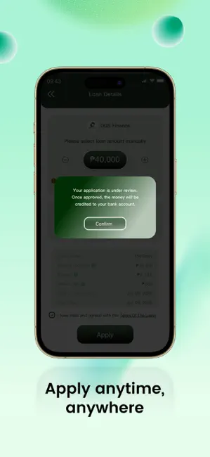 DGS Finance: credit view iPhone screenshot 3