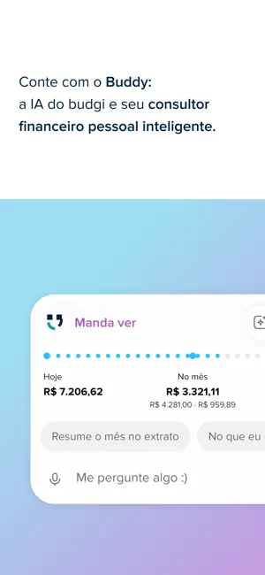 budgi: Finances with AI screenshot 3