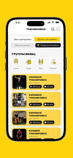 Скриншот РН Спорт на iPhone 2