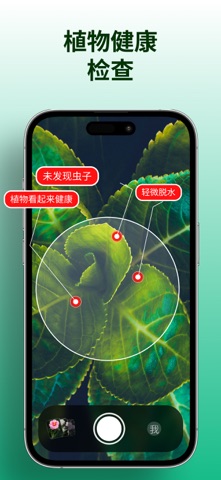 Plant Identifier: Plantico screenshot
