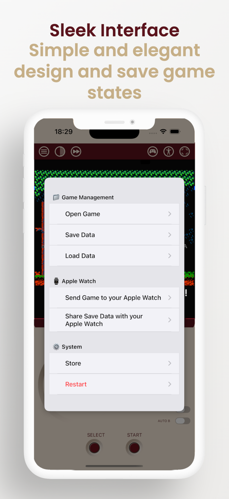 NiN10: Nintendo Emulator screenshot 3