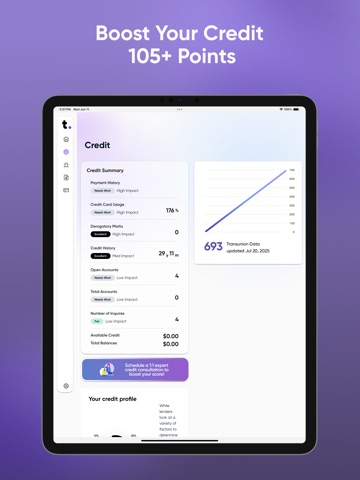 TomoCredit iPad screenshot
