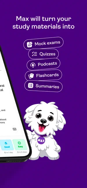 Studyflash: AI Flashcards screenshot 2