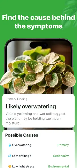 Plant Doctor: Plant ID Care screenshot 3