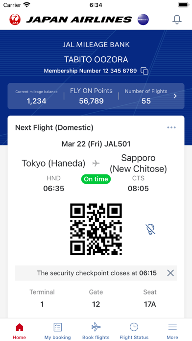 Japan Airlines Screenshot