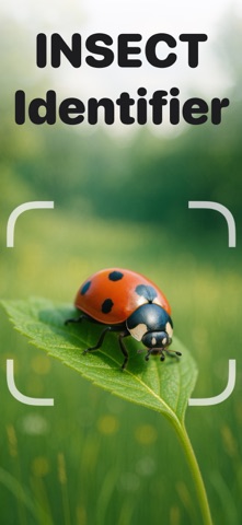 Picture Insect: Bug ID Screenshot 1 of 10