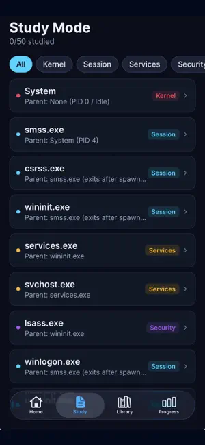 Process Hunt screenshot 2