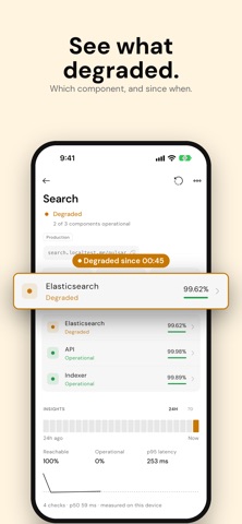Pulsar: API Status Monitor screenshot 4