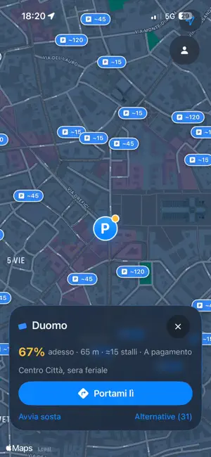 WhereIsTheParking screenshot 4