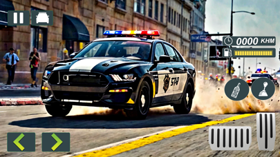 US Police Patrol Simulator Screenshot