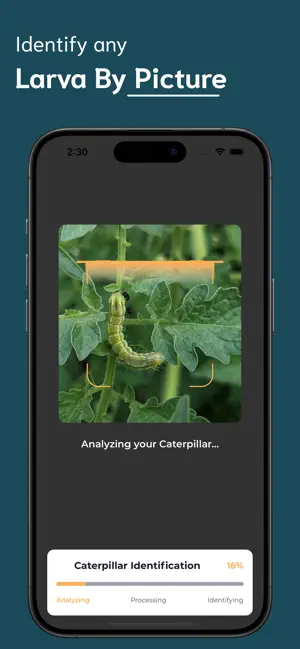 Caterpillar Identifier - CI screenshot 2