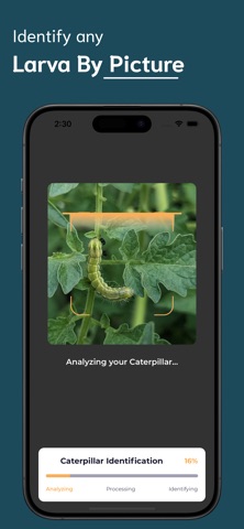 Caterpillar Identifier - CI iPhone screenshot