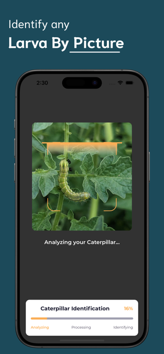 Caterpillar Identifier - CI Screenshot 2 of 6