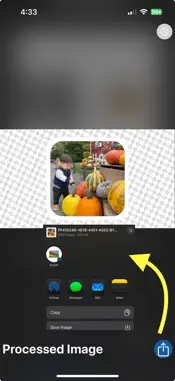 RoundedPic screenshot 10