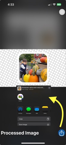 RoundedPic screenshot