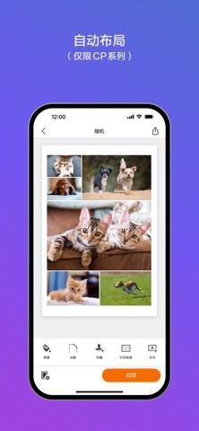 SELPHY Photo Layout screenshot