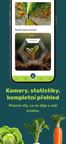 Vegapolis screenshot
