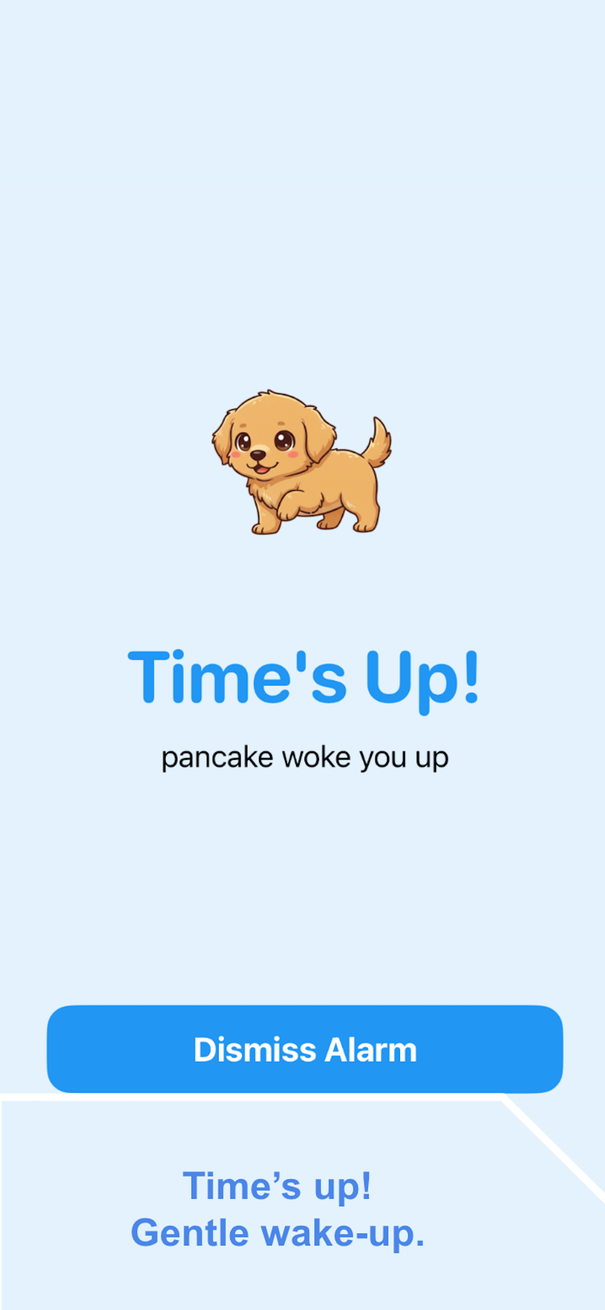 Nap Buddy Timer