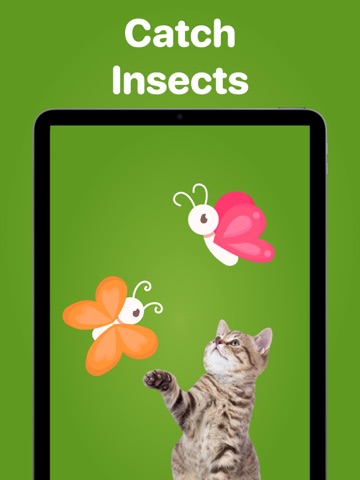 Games for Cats & Kittyㅤㅤ iPad screenshot