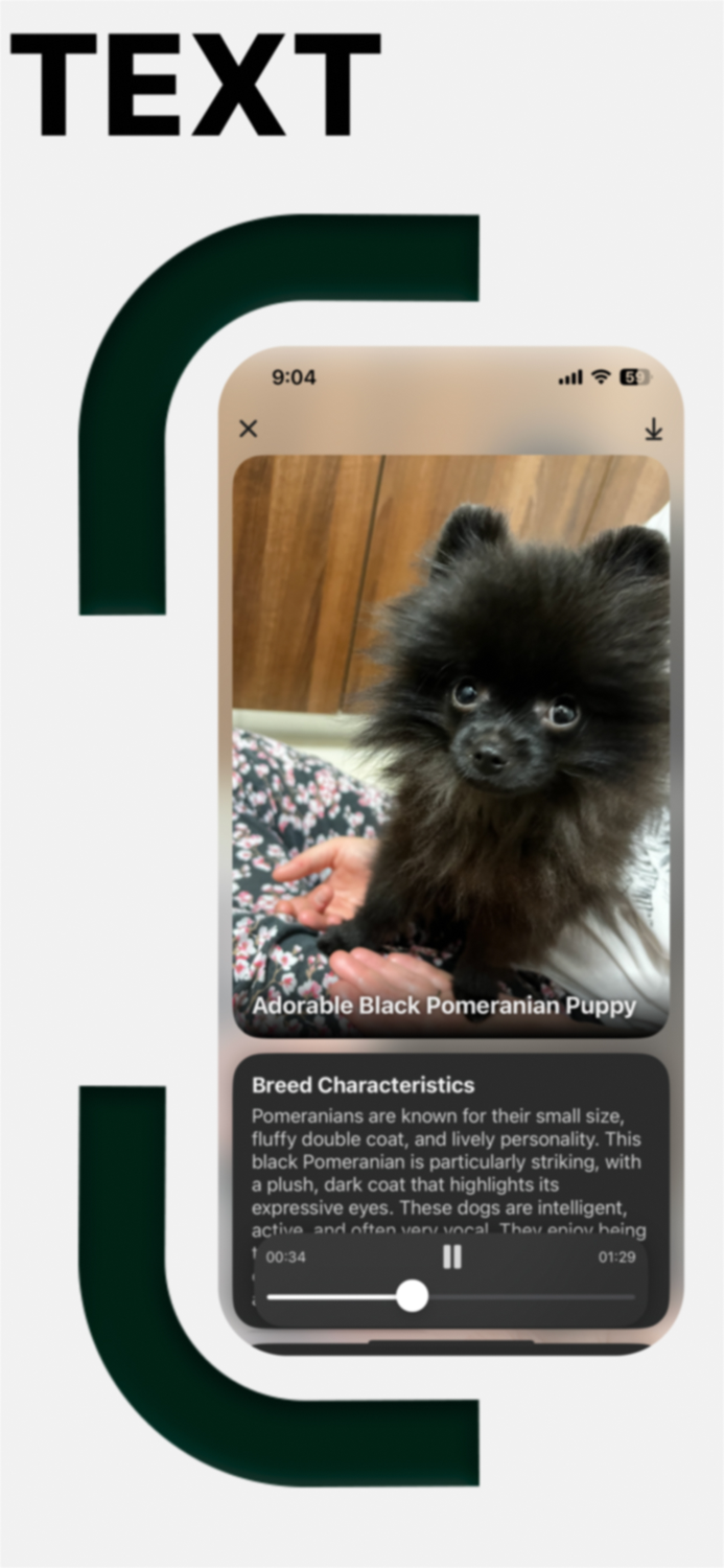 Identify All Plant Rock Art