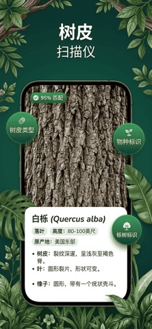 Wood Ai: 树木和植物扫描仪 screenshot