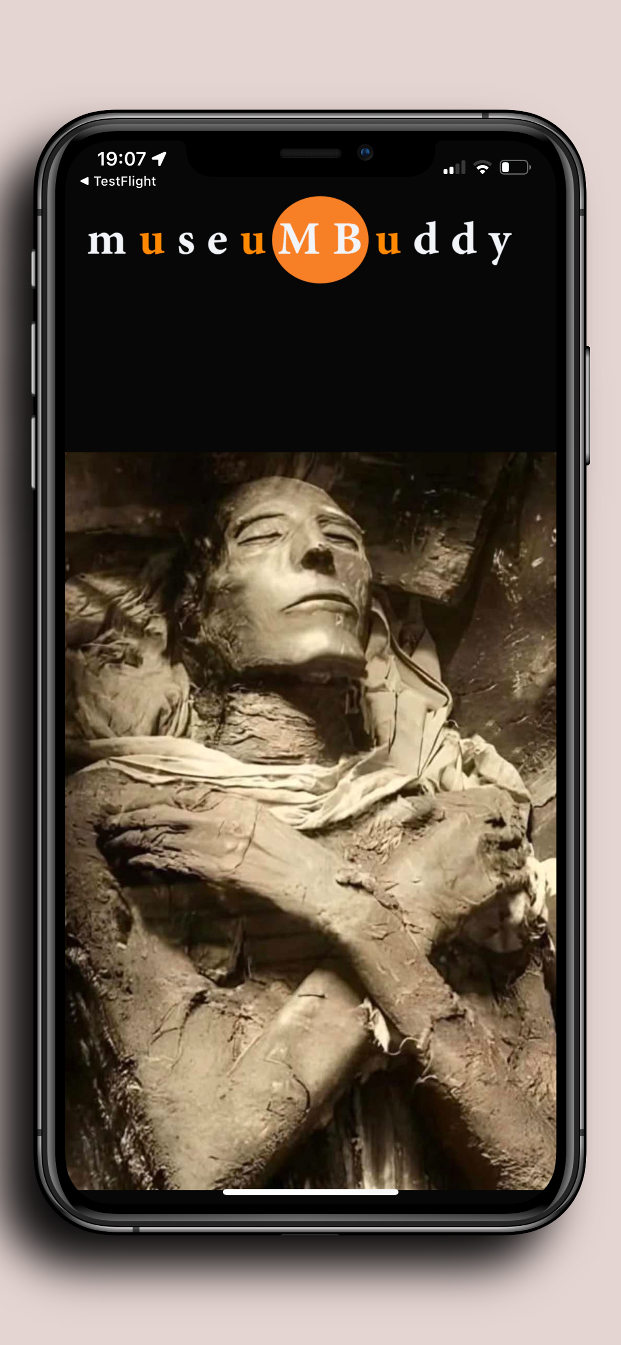 NMEC-Cairo Mummies Museum