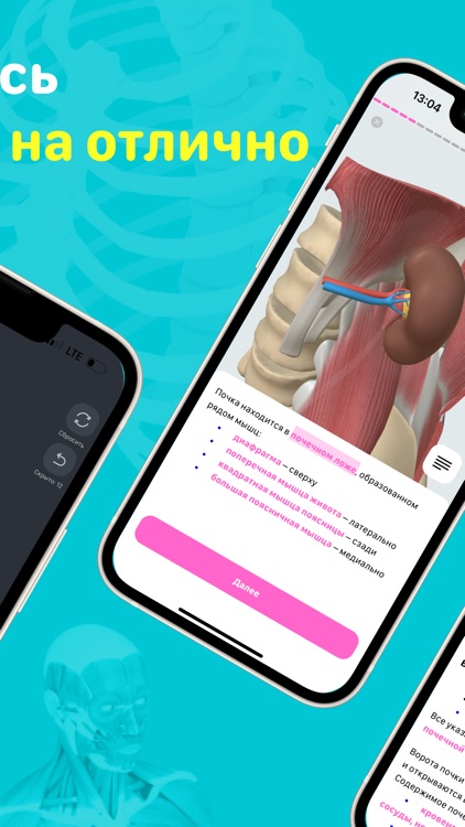 Учи Мед (Учи Анат)