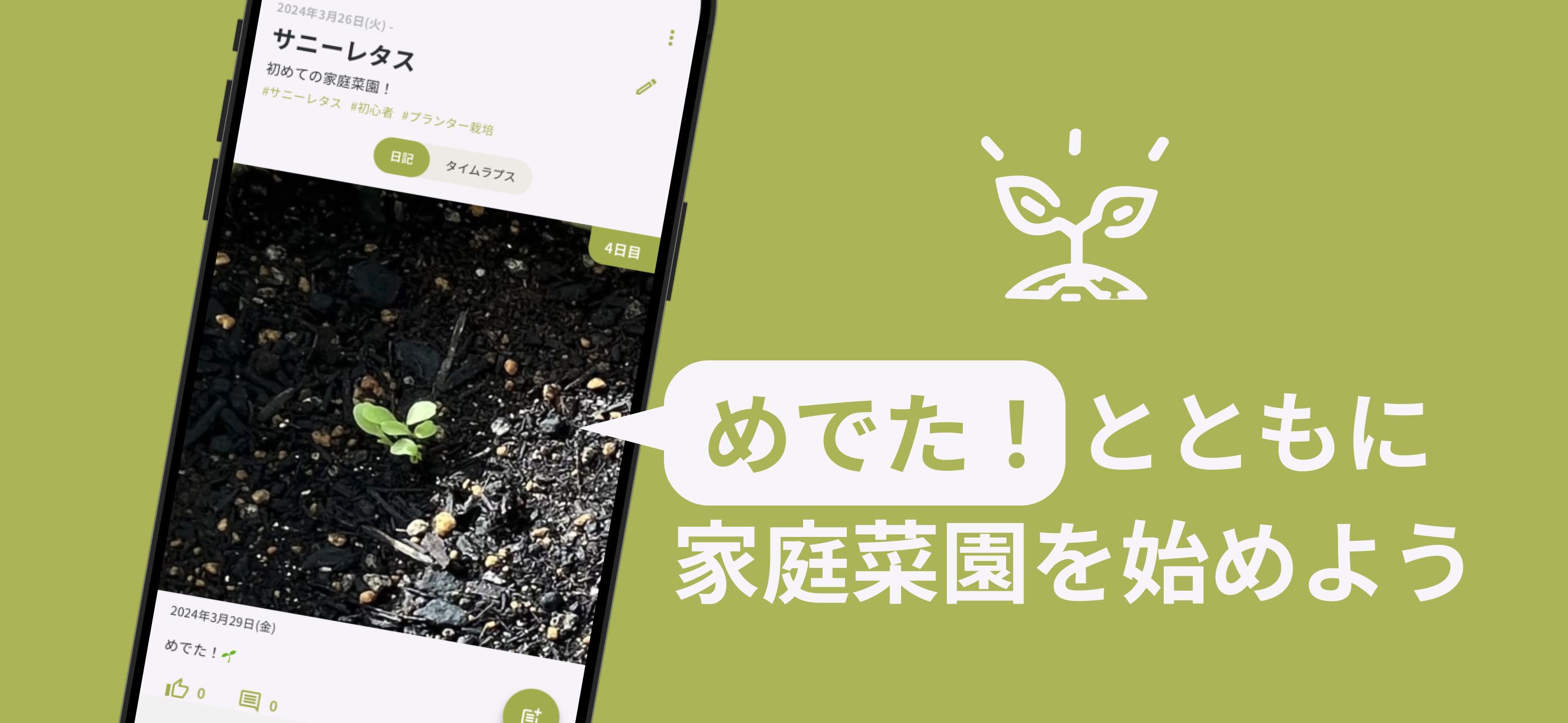 Medeta! - Start Home Gardening