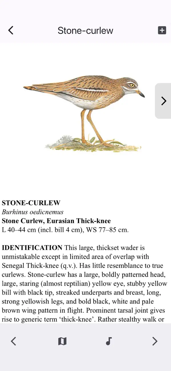 Screenshot #3 pour Birds of Western Palearctic