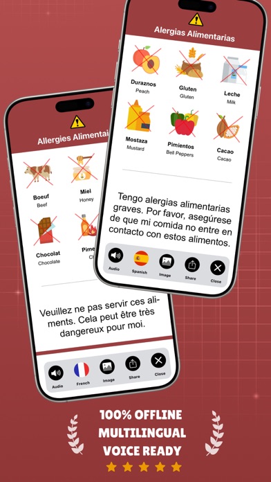 Food Allergy Card Screenshot
