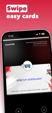 Polish Cases screenshot