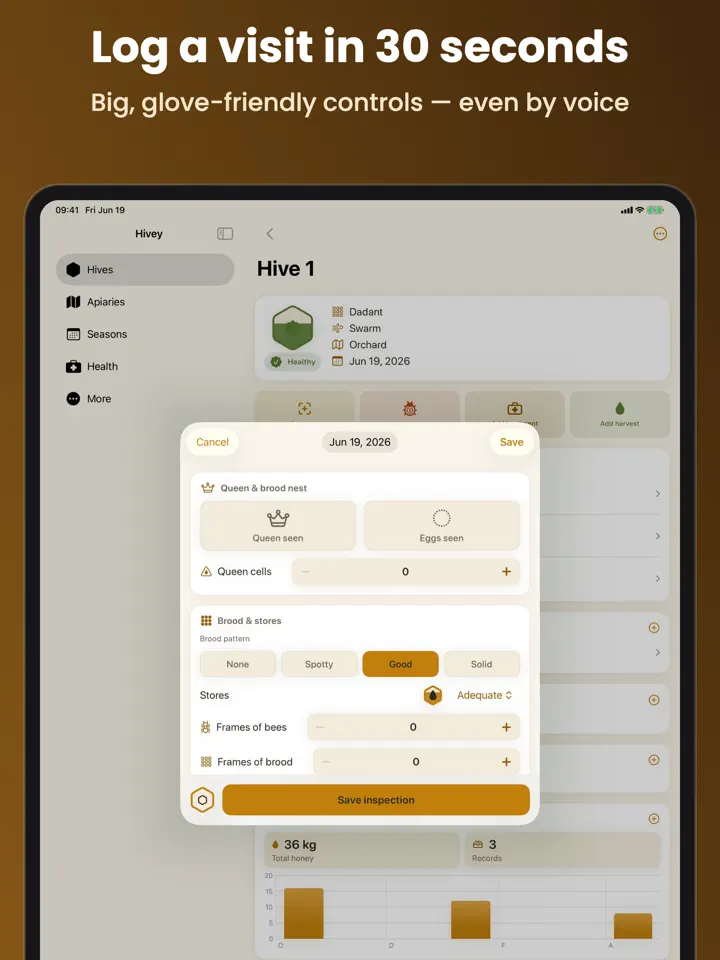 Hivey on iPad: screenshot 4 of 7