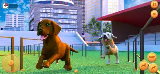 Pregnant Pet Dog Simulator 3D - Screenshot 2