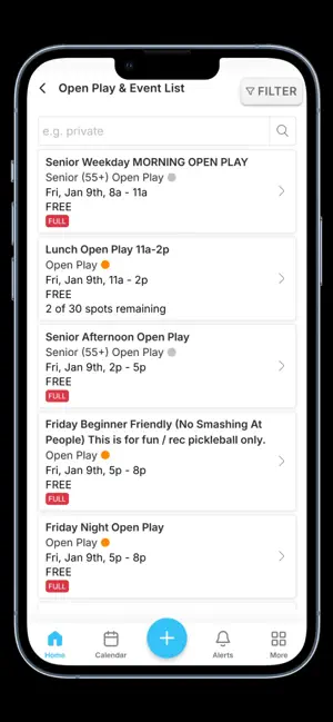 DFW Indoor Pickleball (DiP) screenshot 3