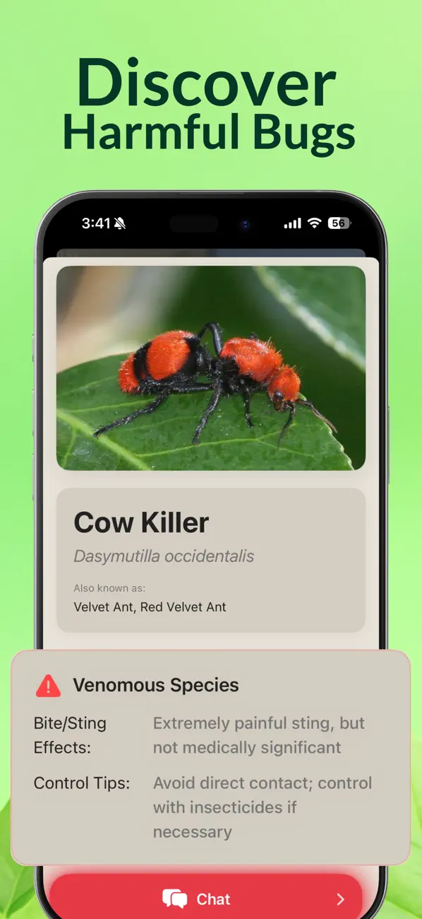 #3. Bug Scanner (iOS) Podle: Husein Hakim