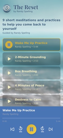The Reset by Randy Spelling screenshot