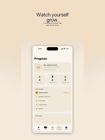 Tether Companion iPad screenshot
