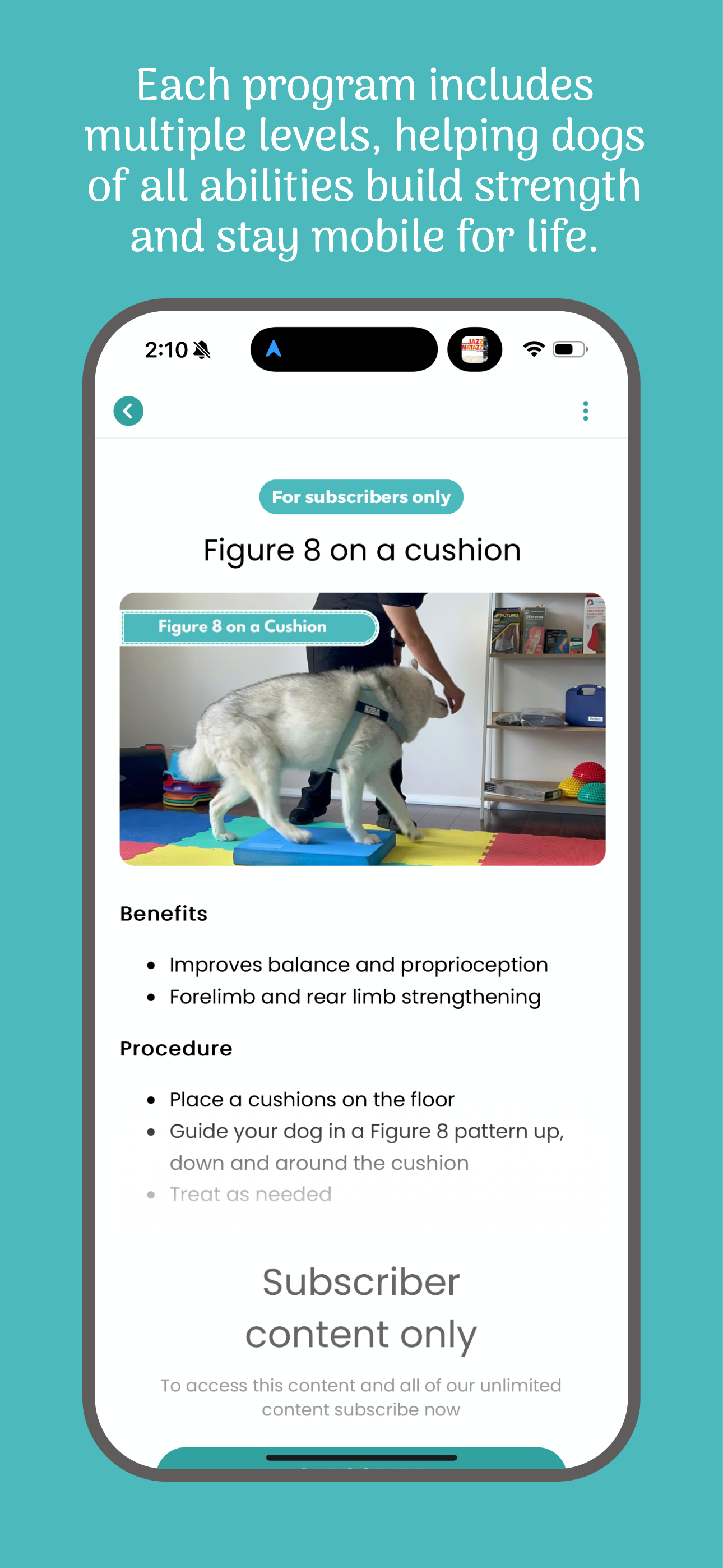 The Dog Rehab App