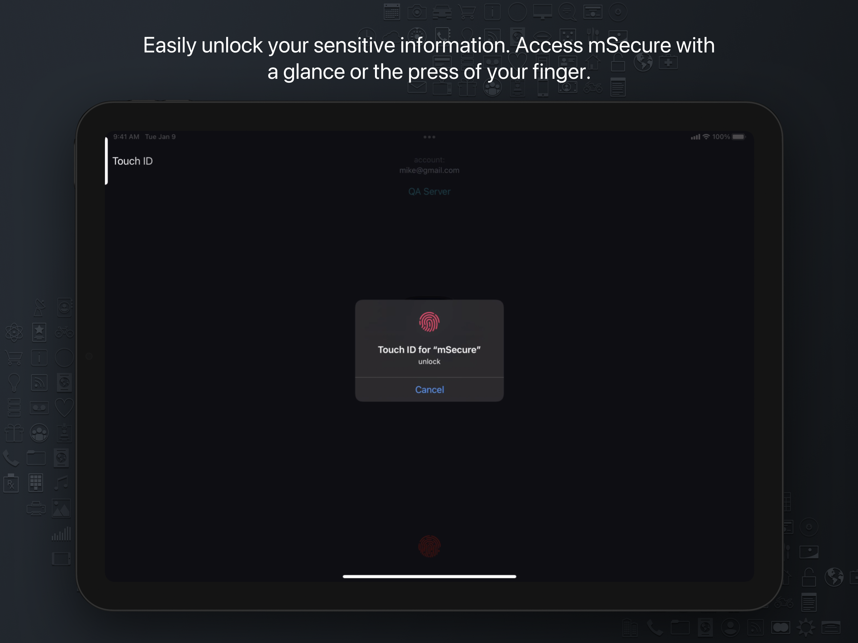 Password Manager - mSecure