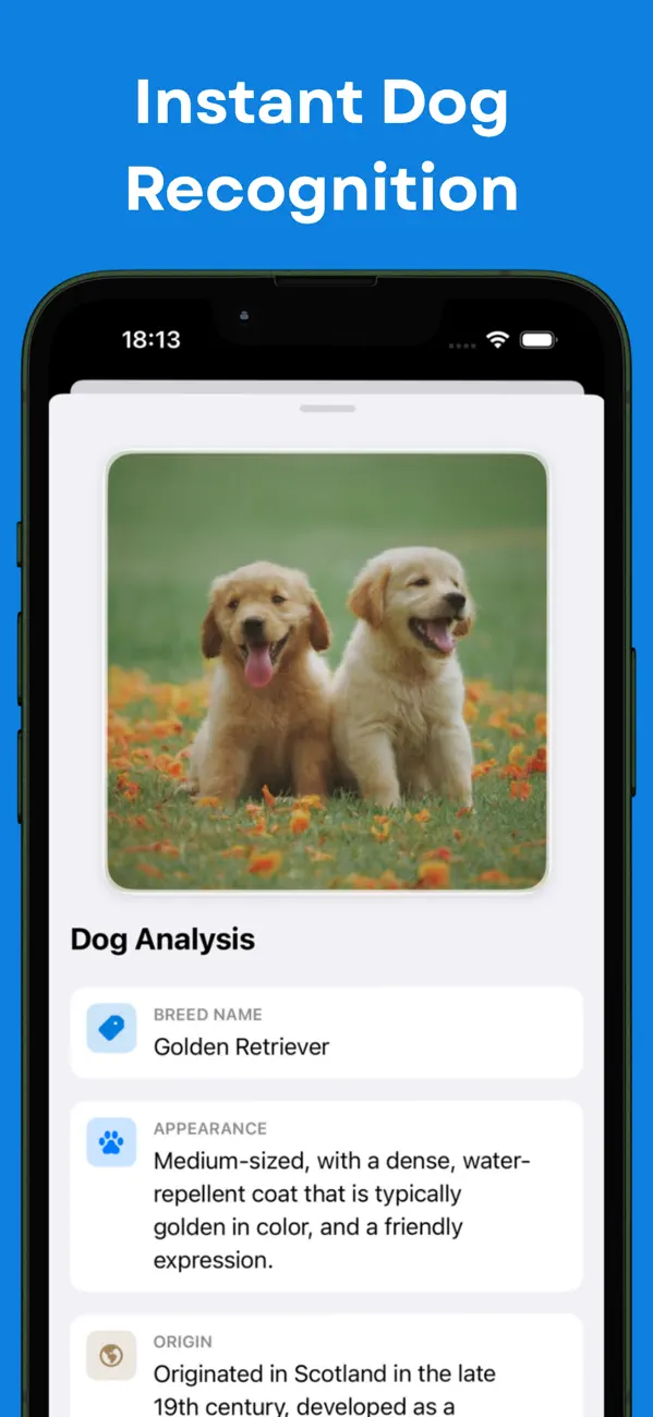 Screenshot #2 pour Identification des chiens