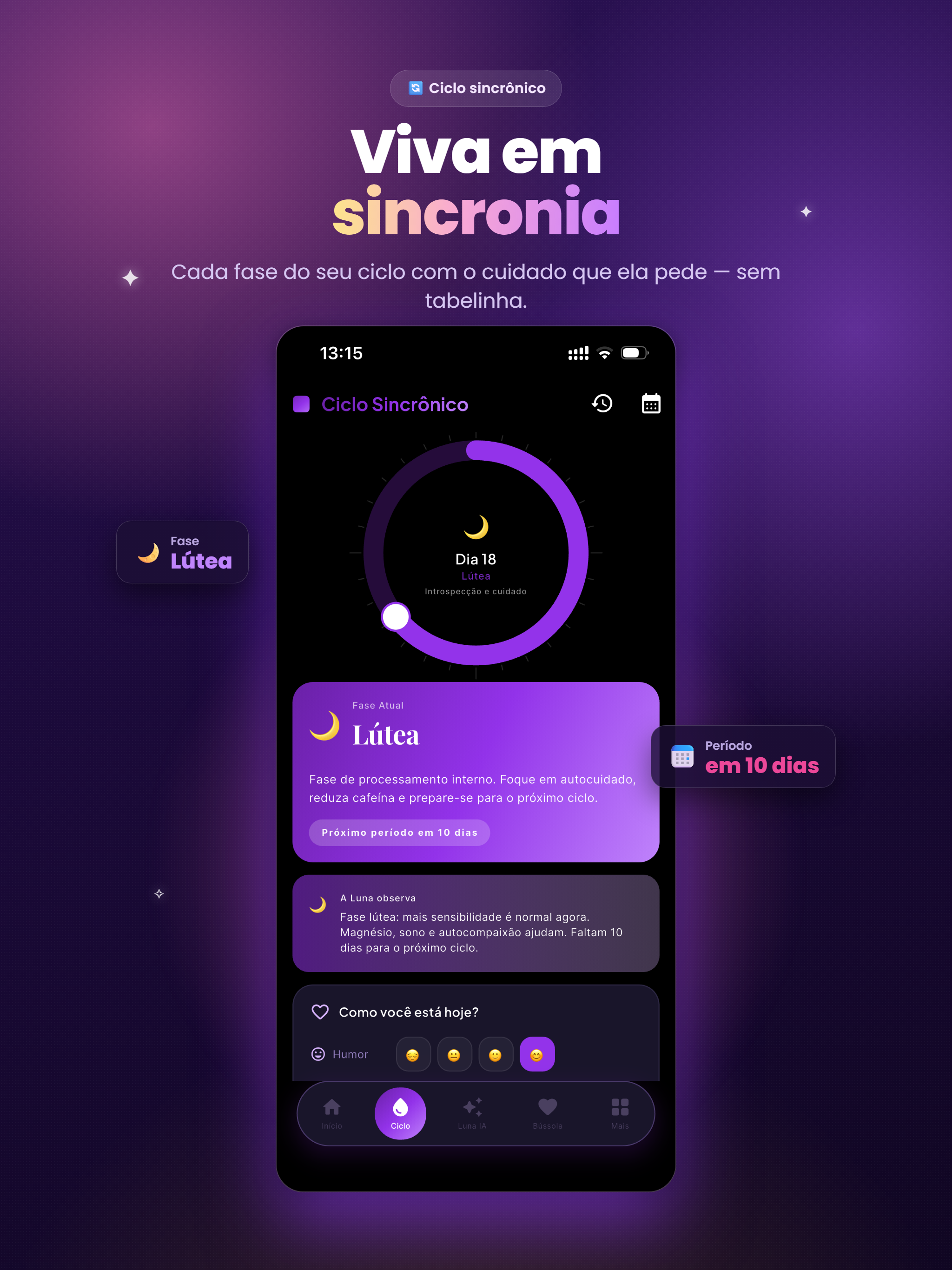 Luna: Ciclo Menstrual & Saúde screenshot 12