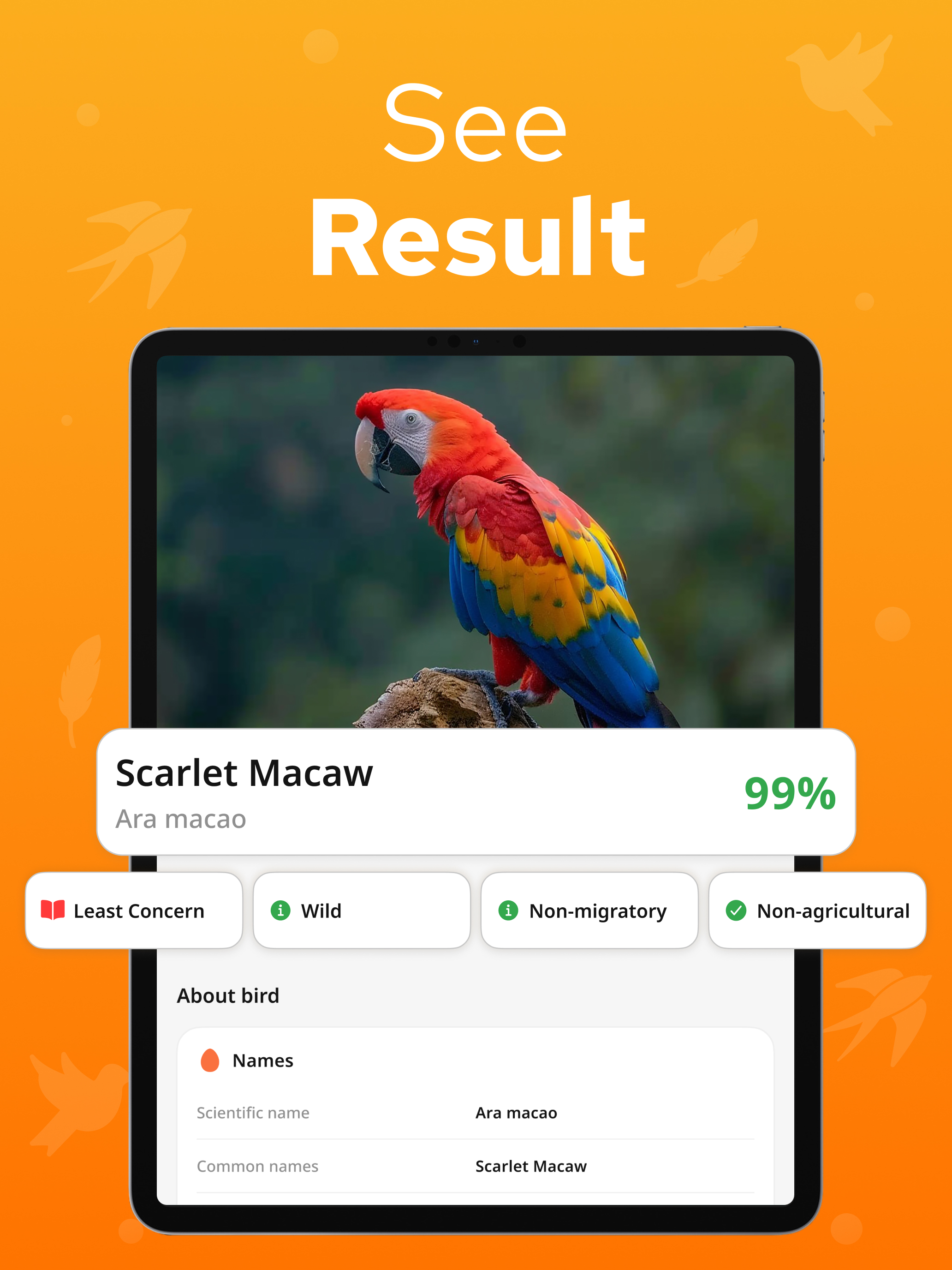 https://is1-ssl.mzstatic.com/image/thumb/PurpleSource211/v4/63/73/66/6373666f-be38-77ea-dfa1-08a36899533c/IPad___Screen_2.jpg/2064x2752.png
